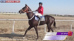 قهرمانی امپراطور گری  دور دوم...