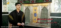 شهادت امام رضا ( ع ) با مداحی...
