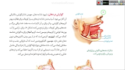زیست شناسی دهم تجربی