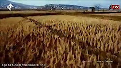 پایتخت 6 اولین سکانس سریال پای...