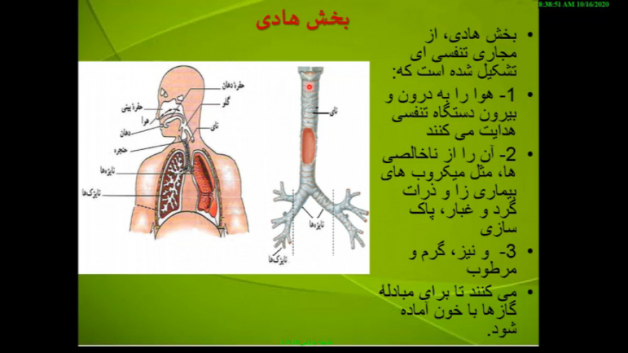 فصل سوم زیست دهم دستگاه تنفسی بخش اول جوانسازی پوست
