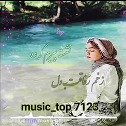 آهنگ فلک اسیرم کرده از علی رزا...