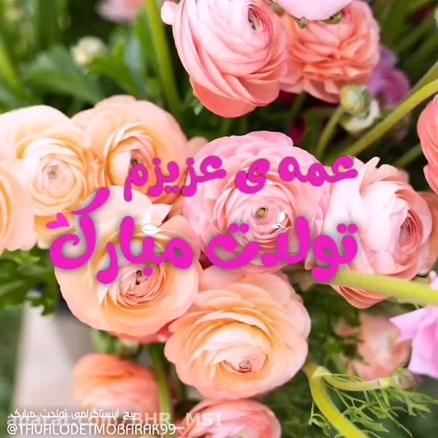 کلیپ تولد عمه عزیزم تولدت مبارک