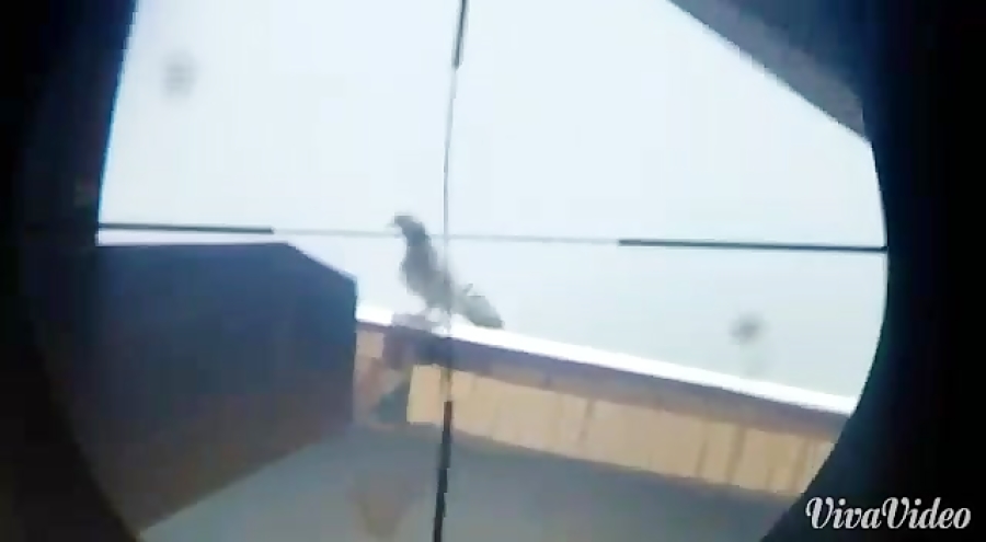 at44.هاتسان ای تی44.شکار با تف...