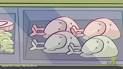 دیرین دیرین _بوقلمان