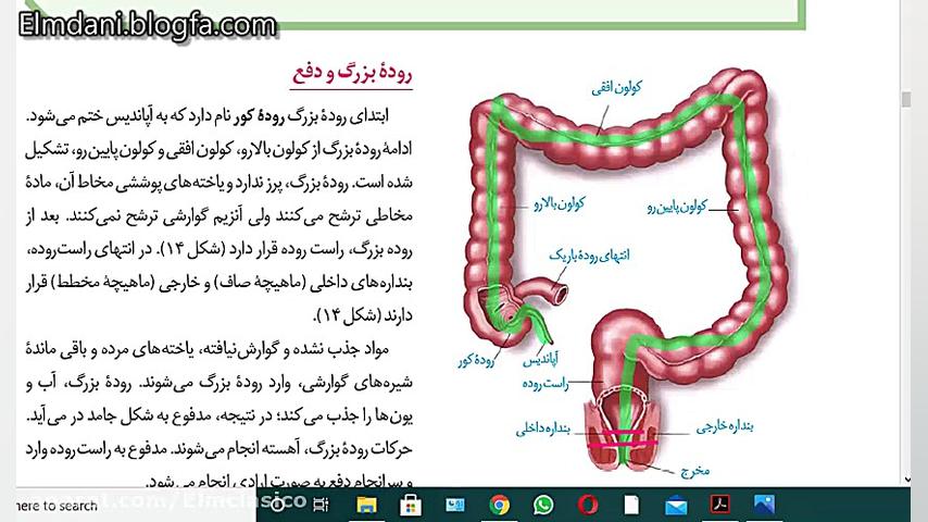 جذب مواد در روده ی باریک و گوارش در روده ی بزرگ گفتار 2 فصل 2 زیست دهم جراحی لثه