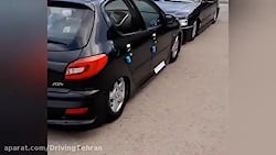 پژو پارس و پژو ۲۰۶ کفخواب رینگ اسپرت