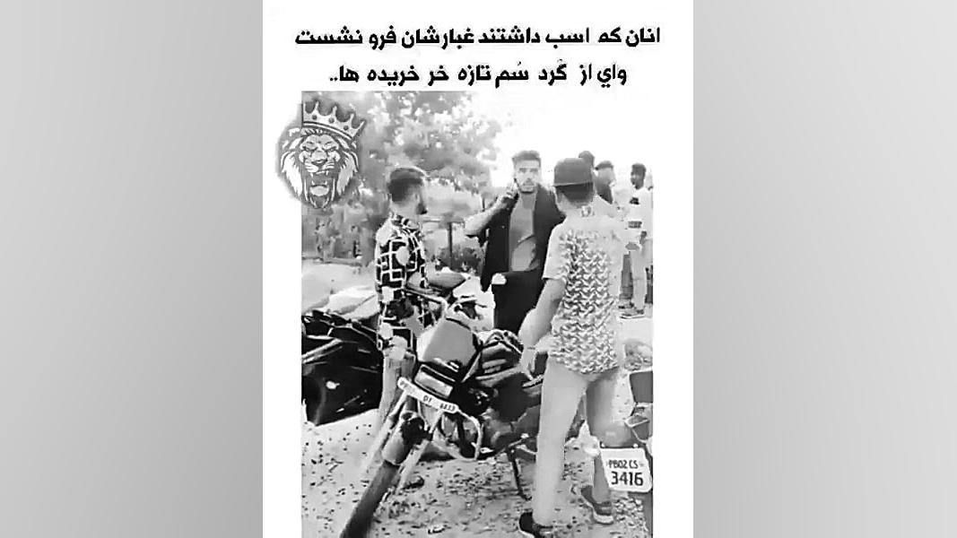 انان که اسب داشتن غبارشان فرو نشست... ساناز محمدی