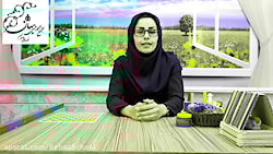 ریاضی پایه سوم - فصل اول «الگو...