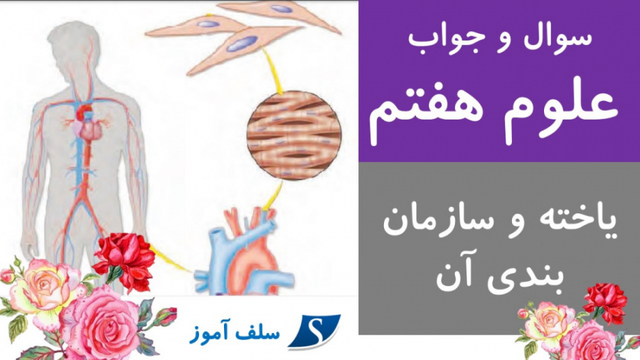 سوال و جواب علوم هفتم درس یازدهم یاخته و سازمان بندی آن پزشکی نانوذره‌ای