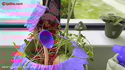 برنامه کودک سرگرمی و کودک نوجو...