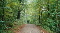 ترانه ای عاشقانه از گرشا رضائی...