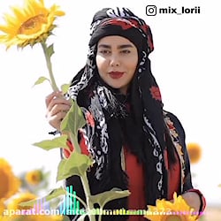 اهنگ محلی لری کلیپ لکی عاشقانه...