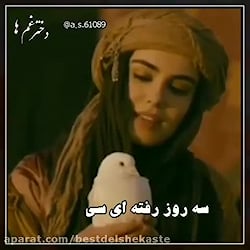 سه روزه رفته ای سی روزه حالا...