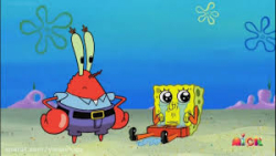 باب اسفنجی | باب اسفنجی جدید |...