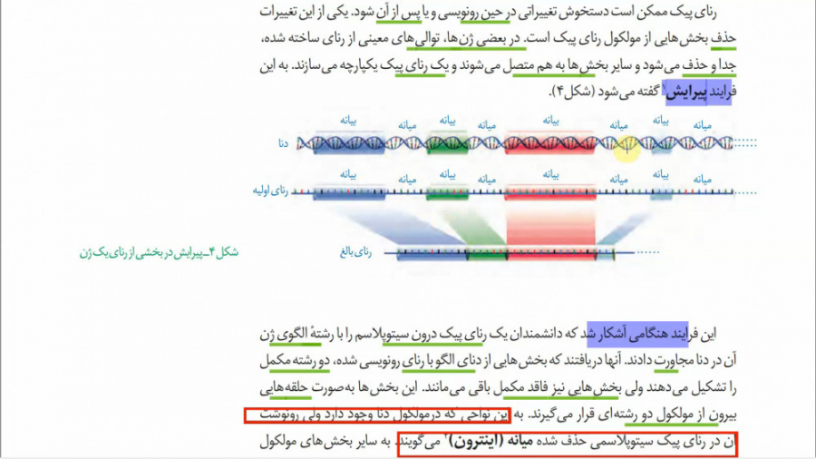 پیرایش RNA و انواع تغییرات پیلینگ