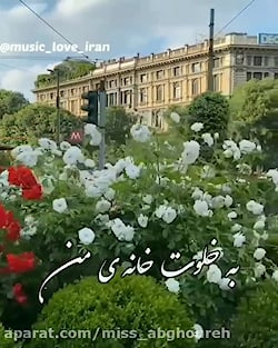 آهنگ زیبا و شنیدنی/ کلیپ آهنگ