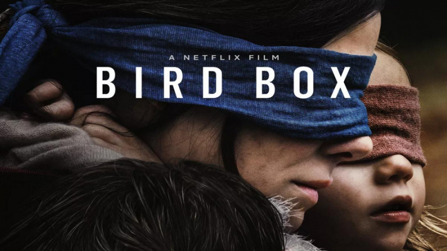 فیلم Bird Box 2018 جعبه پرنده (ترسناک ، درام) زمان7238ثانیه