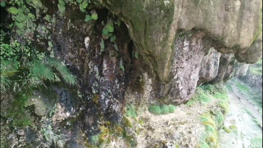 کلیپ زهرا سادات موسوی