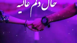 کلیپ شاد عاشقانه/ دنبال کن هرروز کلی کلیپ زیبا/ موزیک متن