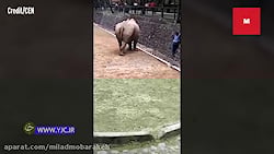 حادثه وحشتناکی که در باغ وحش خ...