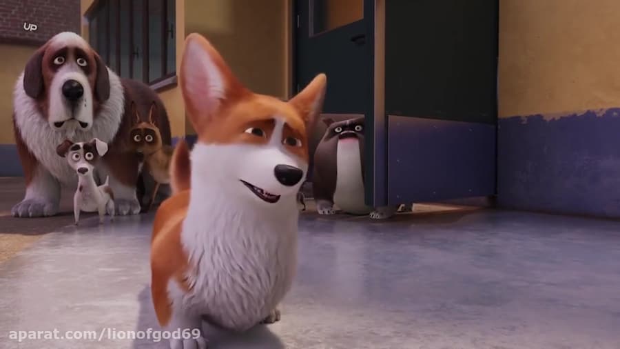دانلود انیمیشن سگ مورد علاقه ملکه The Queens Corgi 2019 دوبله فارسی زمان5030ثانیه
