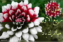 کلیپ تبریک میلاد پیامبر | مولو...