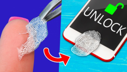 10 تاز از بهترین راهکار های جا...