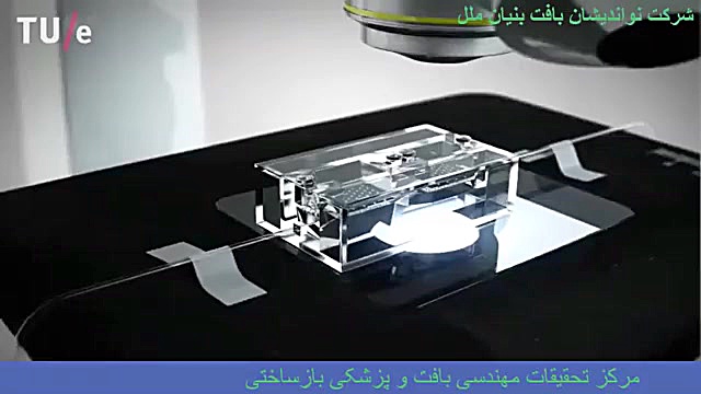 مهندسی بافت دندان مصنوعی