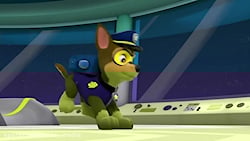 انیمیشن سگهای نگهبان  سگهای نگ...