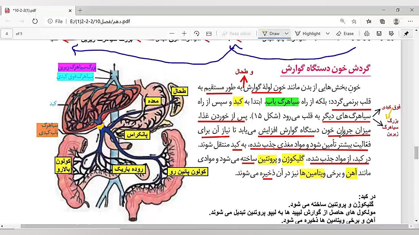 گردش خون دستگاه گوارش کاشت مو