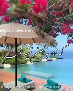 آهنگ من و باغ آرزوها/ آهنگ زیب...