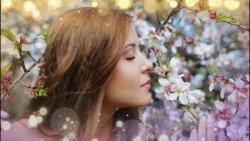 آهنگ بندری شاد مجلسی عروسی