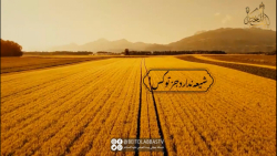 این خانواده آینه های خدایی اند...