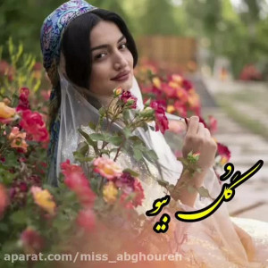 کلیپ محلی | آهنگ لری خیلی زیبا...