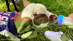 ناستیا و استیسی | بازی ناستیا...