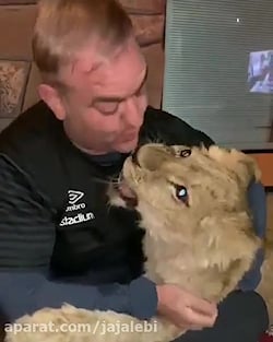 سلطان جنگل حیوان خانگی یک ایرا...