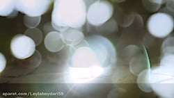 زیبایی لیلا حیدری(اموزش تخصصی...