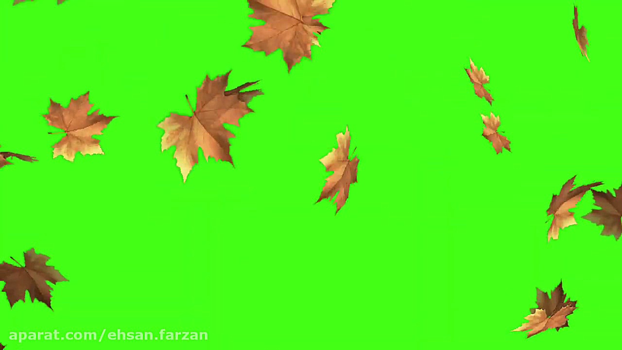 کروماکی برگ ریزان پائیز دندانپزشکی کودکان