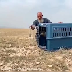 مستند حیات وحش_رها سازی عقاب و...