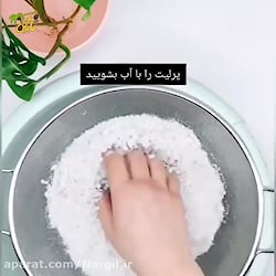 نحوه پرورش گیاه با پرلیت