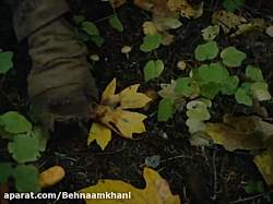 دانلود فيلم سينمايی چينی(اولين...