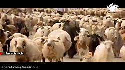 دیدن تصاویر زندگی عشایری با یه...