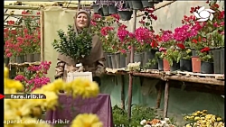 آموزش " پرورش و نگهداری گیاه ب...