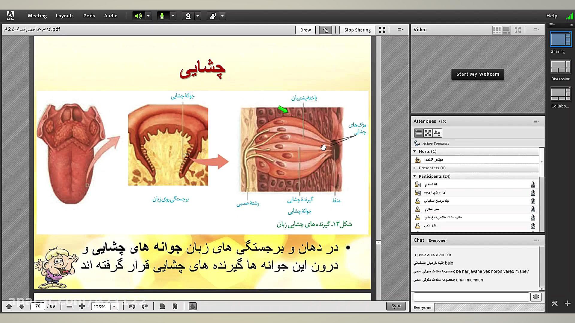حس چشایی کله عنکبوت