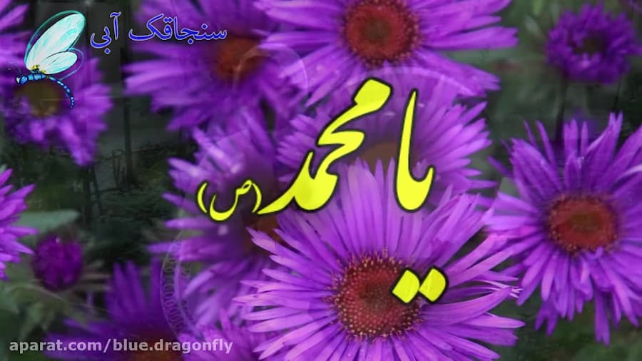 دف نوازی میلاد پیامبر اسلام  ک...