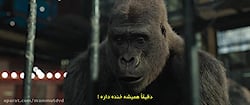 فیلم The One and Only Ivan 2020 (ایوان بی نظیر) زیرنویس فارسی