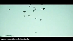 مسعود جلیلیان غمگین عاشقانه