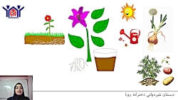 آموزش علوم پایه اول  درس ۵ (دن...