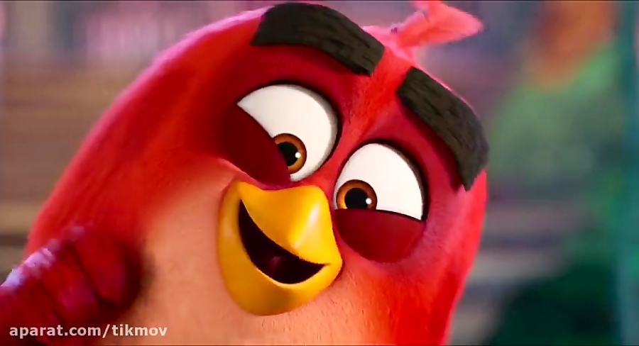 دانلود انیمیشن پرندگان خشمگین 2 The Angry Birds 2 2019 دوبله فارسی کارتون جدید زمان5807ثانیه